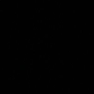 Meet your Posher, Maxwell